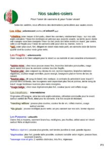 Variétés vivantes de saule-osier biologique 2026 disponibles sur la ferme tressages vivants 05300 Eourres