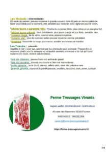 Seconde page des variétés vivantes de saule-osier biologique 2026 disponibles sur la ferme tressages vivants 05300 Eourres