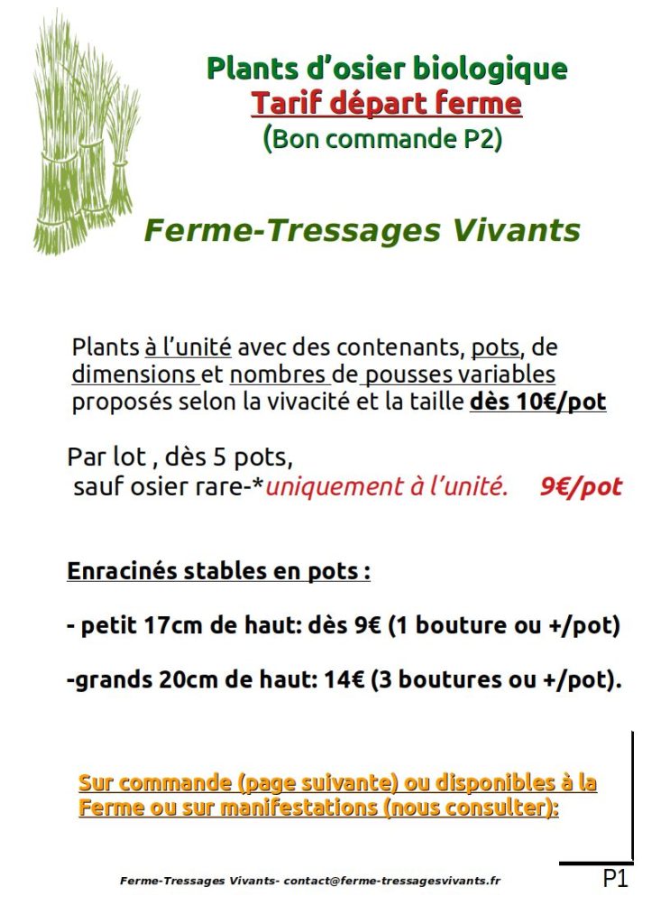 Présentation plants en pots osier biologique ferme tressages vivants